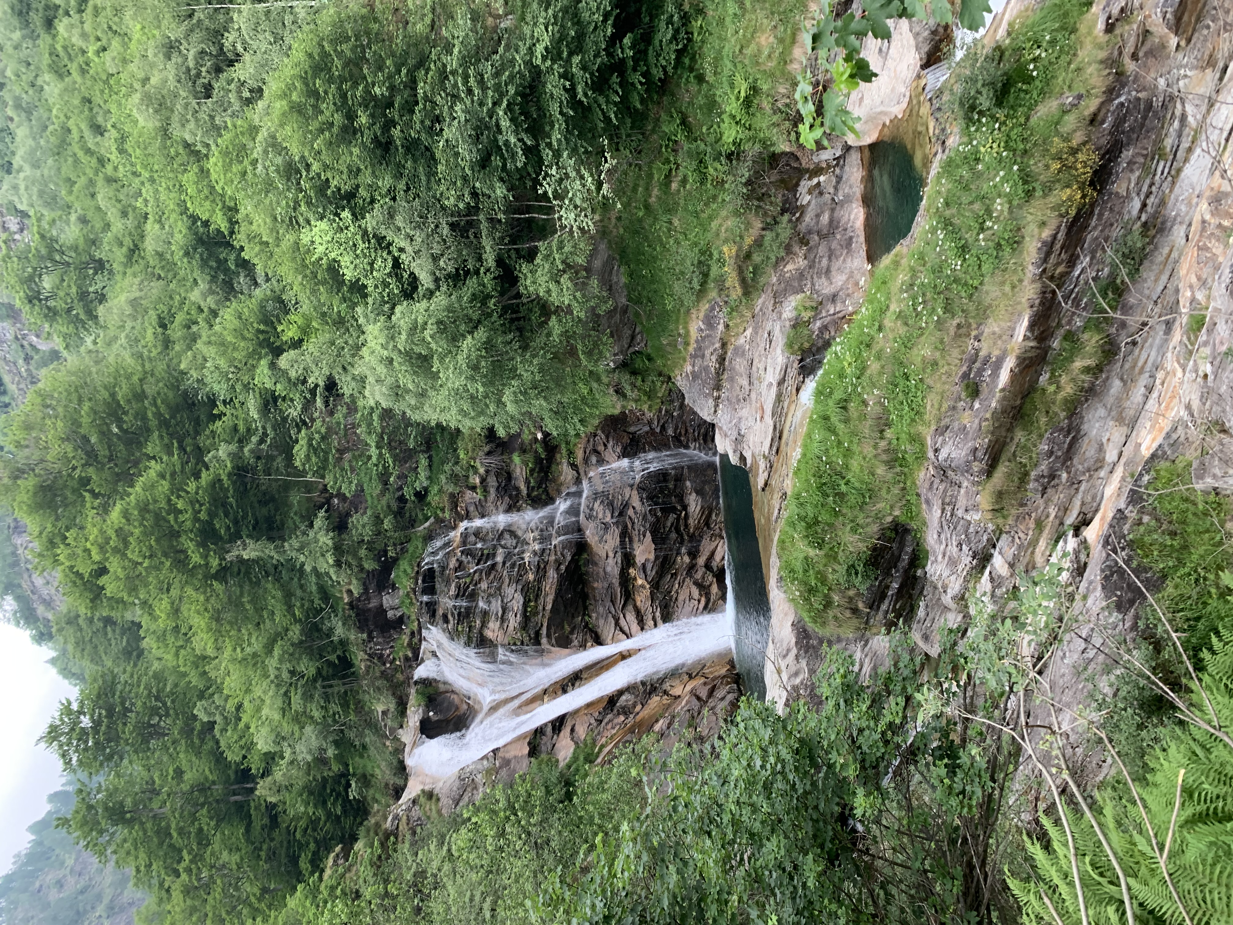 IMG 0451